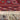 Alfombra Pakistaní Tekke Bockhara en lana 320X520 Colección Exclusiva