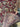 Alfombra Persa Central medallón foral 200 x 320 Colección Exclusiva