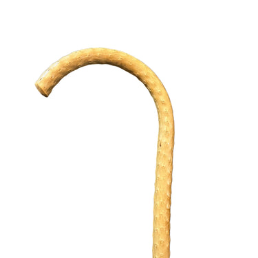 Baston madera frutal con textura de espinos Bucarest Art & Antiques