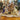 Figura de porcelana francesa Saxen Escena de Salón s. XVIII Bucarest Art & Antiques