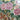 Gran porcelana china flores pintadas a mano contemporáneo Colección Exclusiva