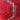 Alfombra delantero Cáucaso Ruso pelo de camello en rojo 77x130cms Colección Exclusiva