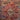 Alfombra Persa Tribal lana  medallón rojo 254x170 Bucarest Art & Antiques