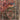 Alfombra Persa Tribal lana  medallón rojo 254x170 Bucarest Art & Antiques