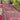 Gran alfombra persa pasillo 73 x 290 cms. Fin de Temporada