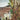 José de Rokha - 'Paisaje de Alamos amarillos y casas' Bucarest Art Gallery